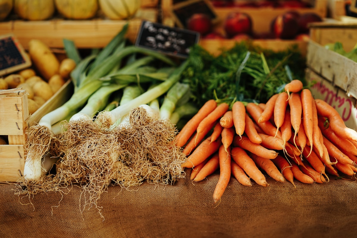 Recetas saludables para la digestión